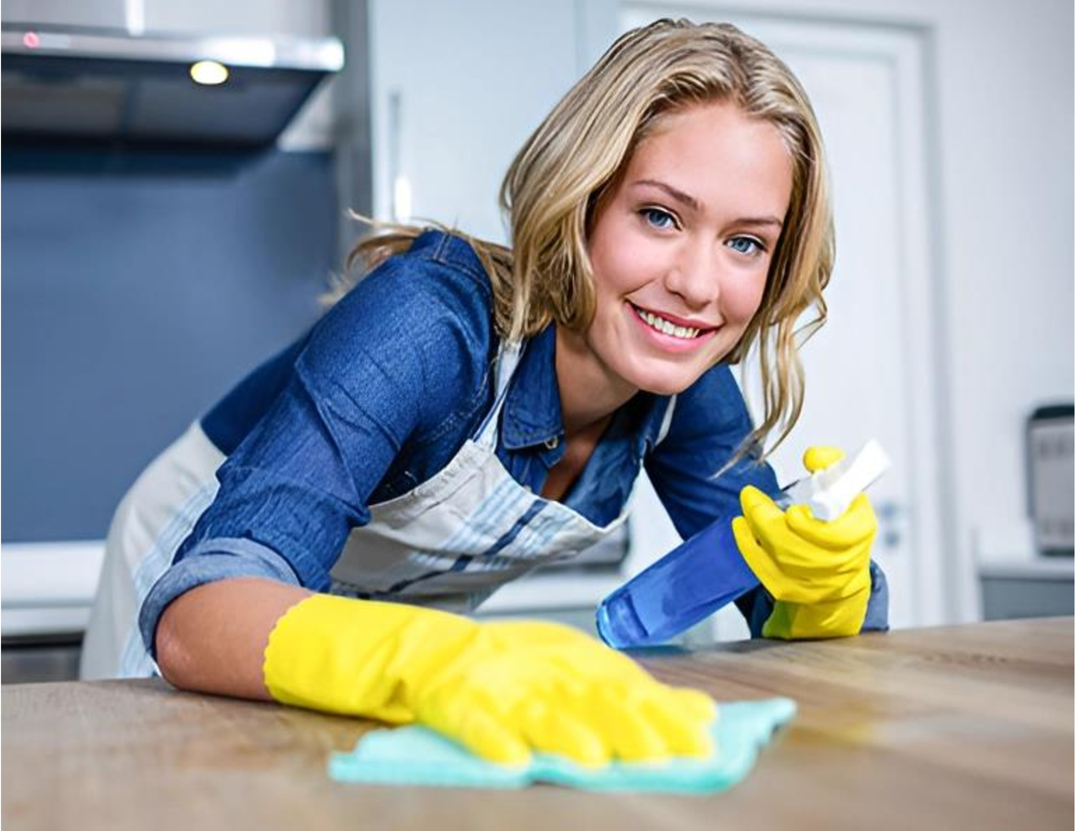 MAID SERVICES